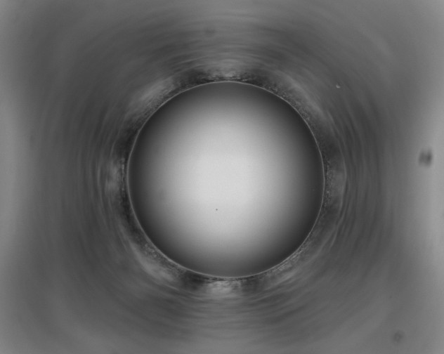 X0000097610126200802291311
