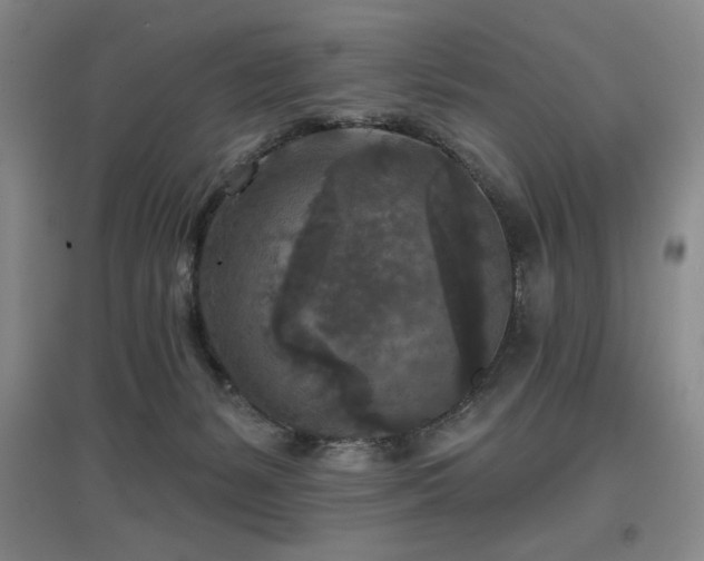 X0000097610127200802291311