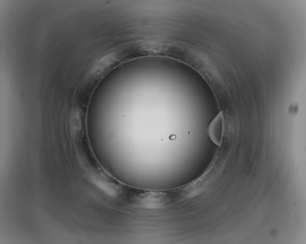 X0000097610128200802291311
