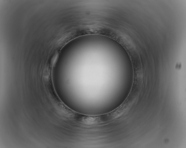 X0000097610129200802291311