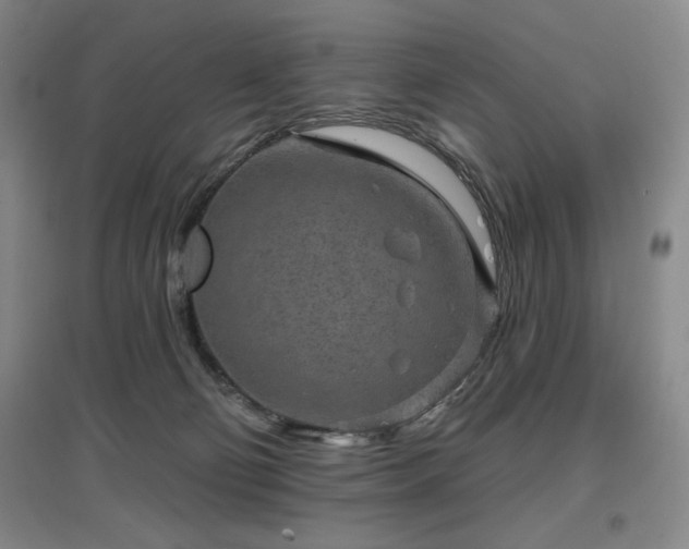 X0000097610130200802291311