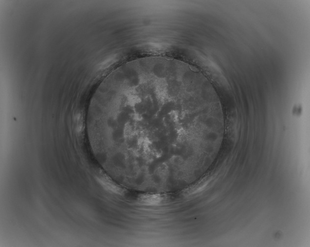 X0000097610131200802291311