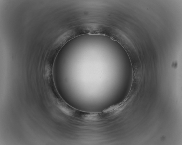 X0000097610132200802291311
