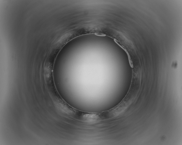 X0000097610133200802291311