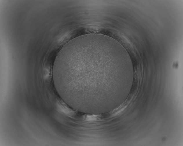 X0000097610134200802291311