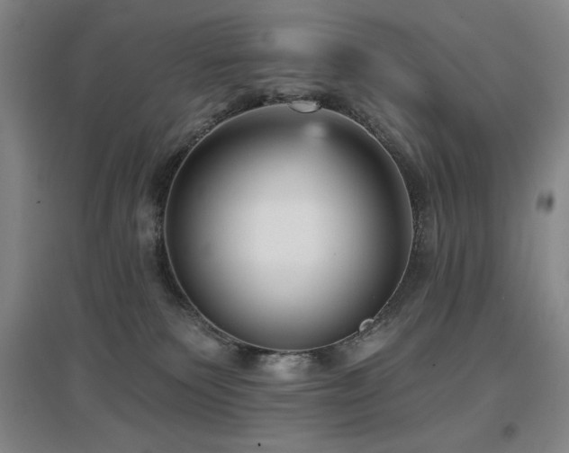 X0000097610135200802291311