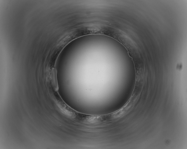 X0000097610136200802291311