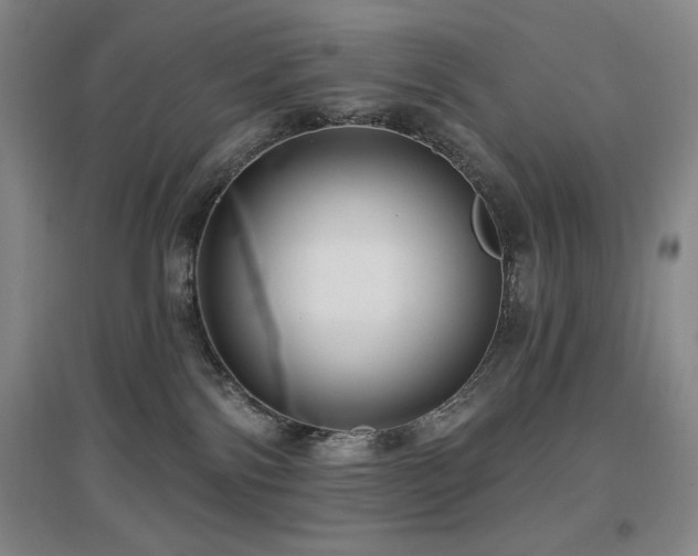 X0000097610138200802291311