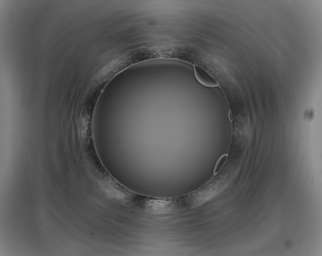 X0000097610139200802291311