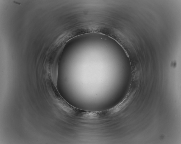 X0000097610140200802291311