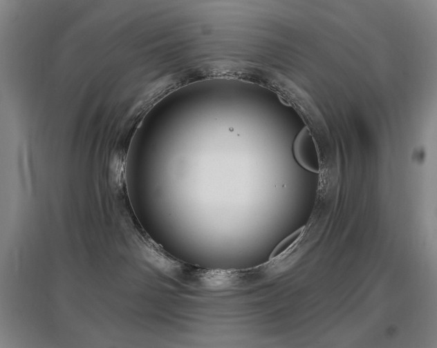 X0000097610142200802291311