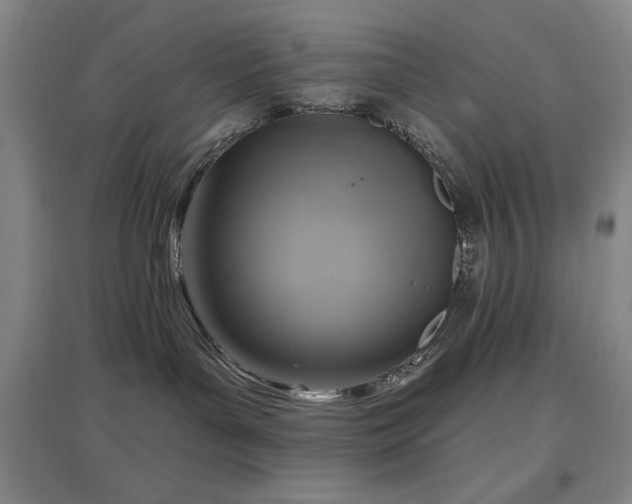 X0000097610143200802291311