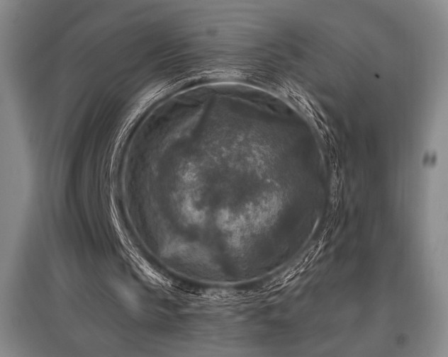X0000097610145200802291310