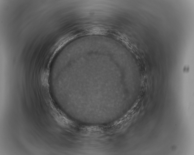 X0000097610146200802291310