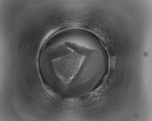 X0000097610147200802291310