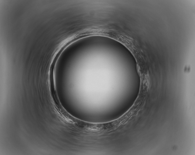 X0000097610148200802291310