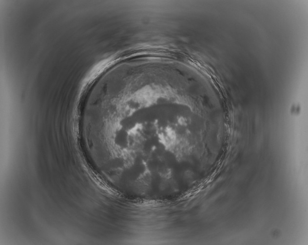 X0000097610149200802291310
