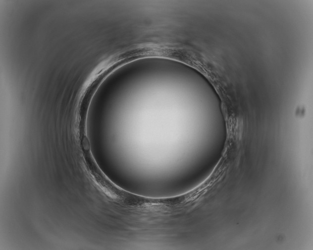 X0000097610150200802291310