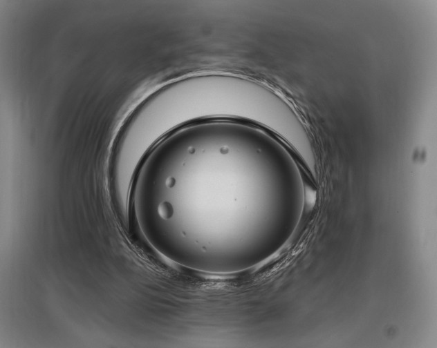 X0000097610152200802291310