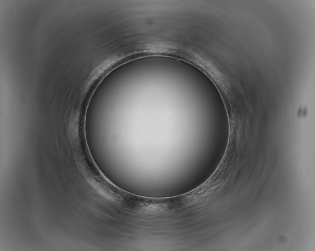 X0000097610155200802291310