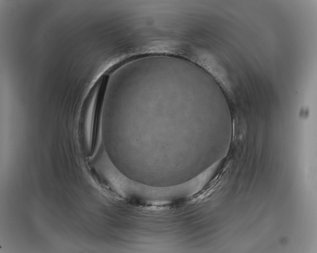 X0000097610156200802291310