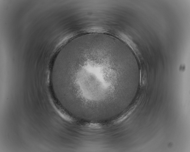 X0000097610157200802291310