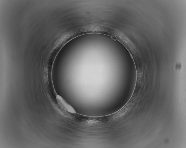X0000097610158200802291310