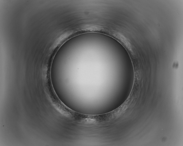 X0000097610159200802291310