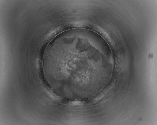X0000097610161200802291310