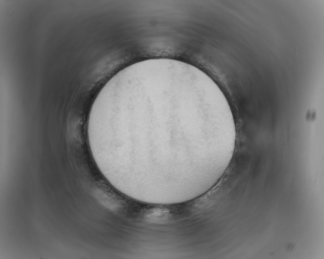 X0000097610162200802291310
