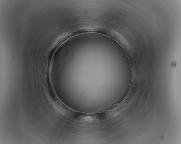 X0000097610163200802291310