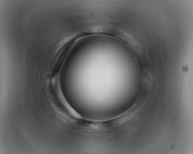 X0000097610164200802291310