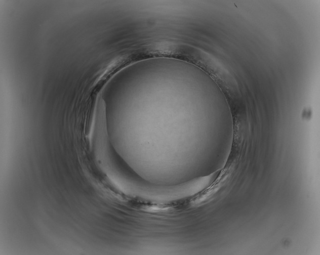 X0000097610168200802291310