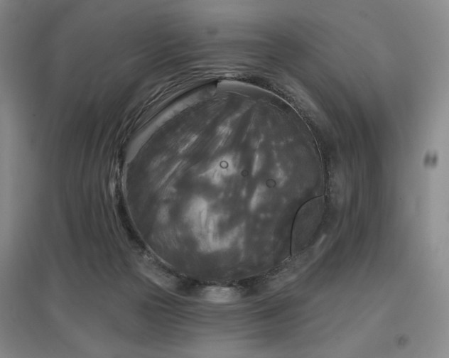 X0000097610169200802291310