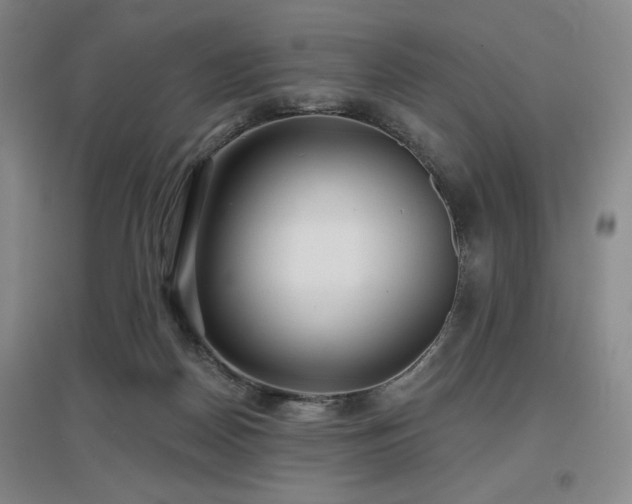 X0000097610170200802291310