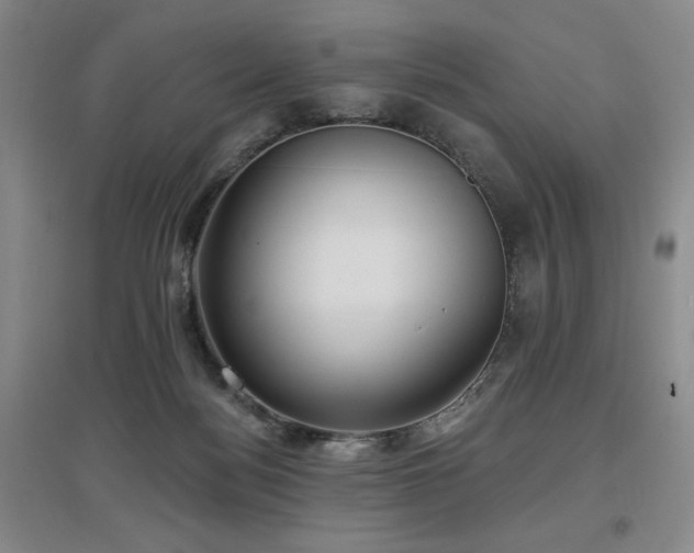 X0000097610172200802291310