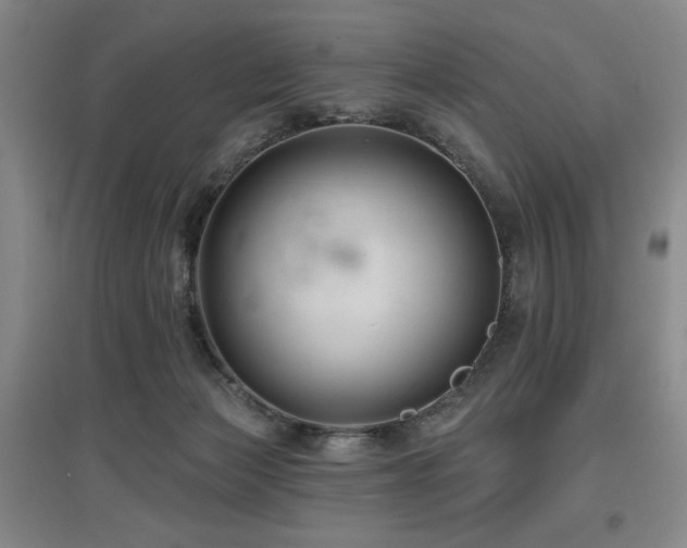 X0000097610173200802291310
