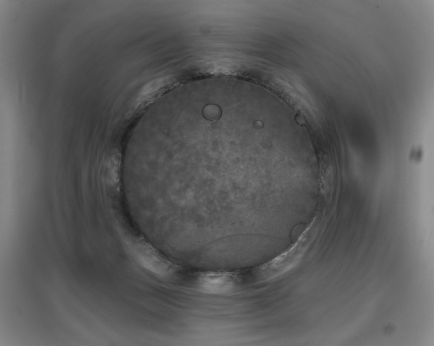 X0000097610175200802291310