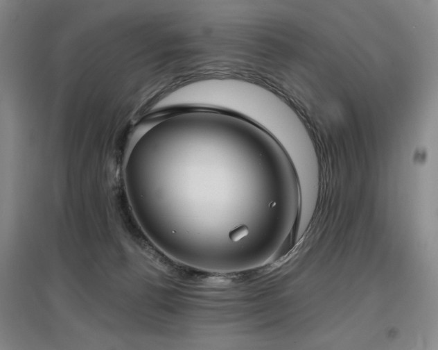 X0000097610176200802291310