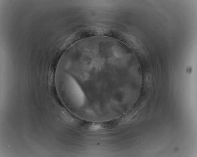 X0000097610177200802291310