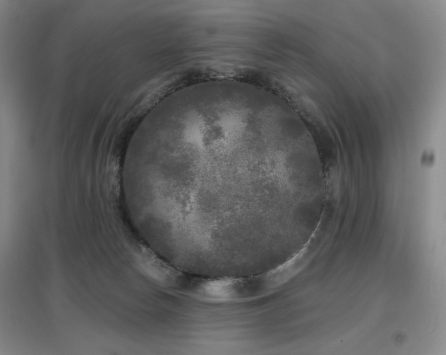 X0000097610178200802291310