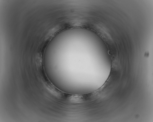 X0000097610179200802291310