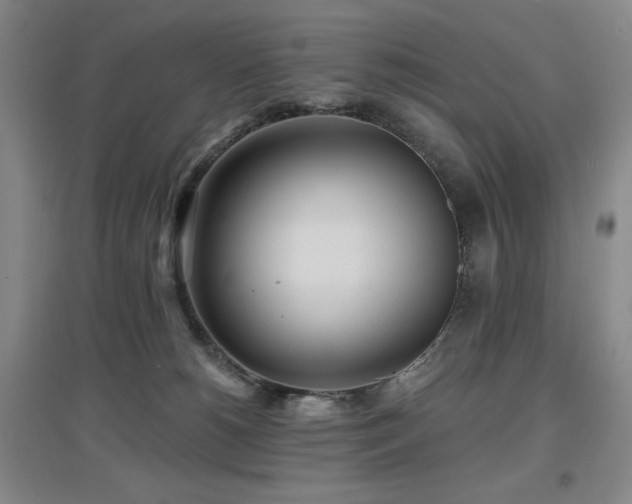 X0000097610180200802291310
