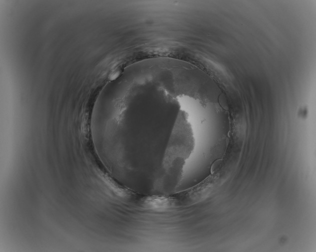 X0000097610181200802291310