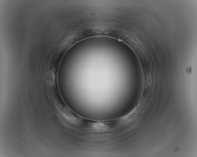 X0000097610183200802291310