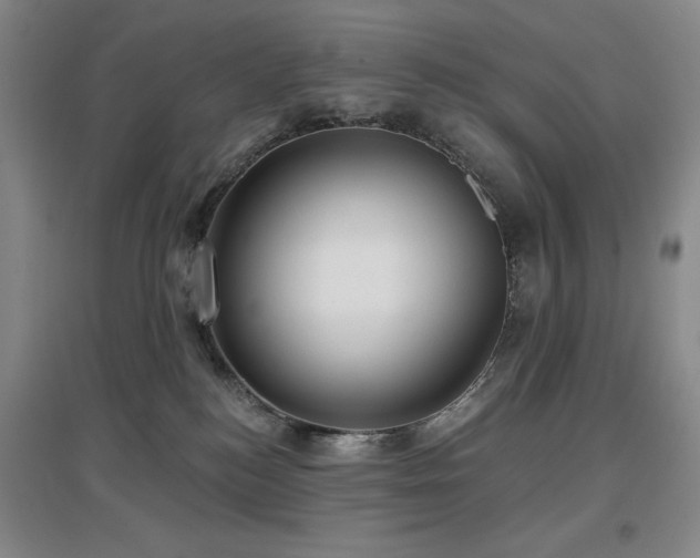 X0000097610184200802291311
