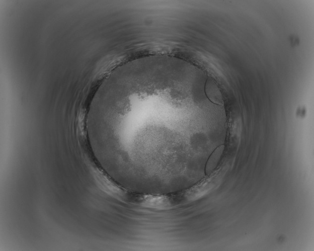 X0000097610185200802291311