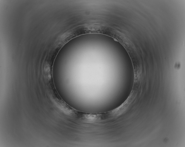 X0000097610187200802291311