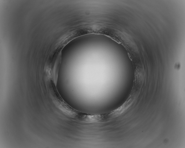 X0000097610188200802291311
