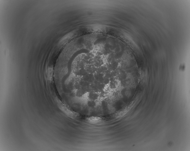 X0000097610189200802291311